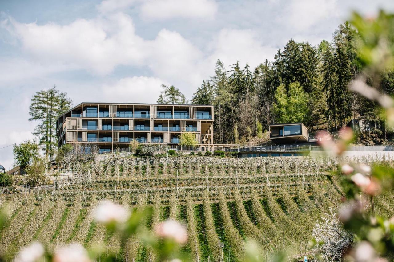 Panoramic Suites Winzerhoehe Scena Esterno foto